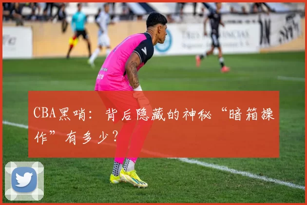 CBA黑哨：背后隐藏的神秘“暗箱操作”有多少？