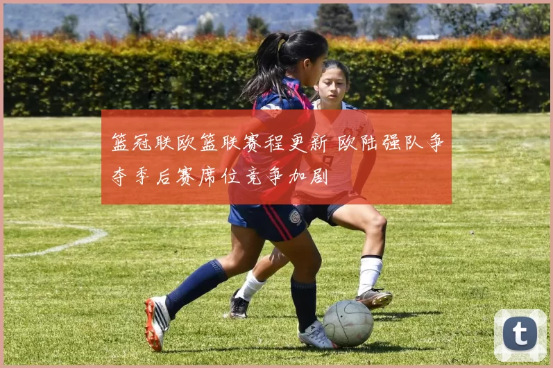 篮冠联欧篮联赛程更新 欧陆强队争夺季后赛席位竞争加剧