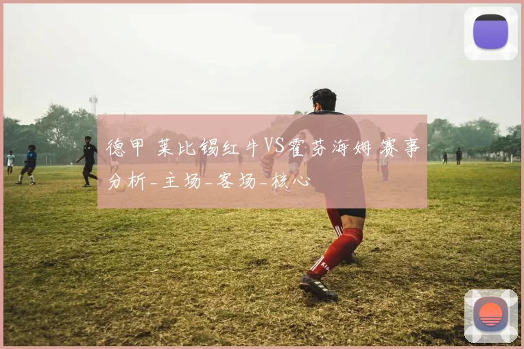 德甲 莱比锡红牛VS霍芬海姆 赛事分析_主场_客场_核心
